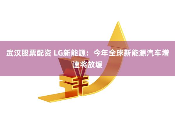 武汉股票配资 LG新能源：今年全球新能源汽车增速将放缓