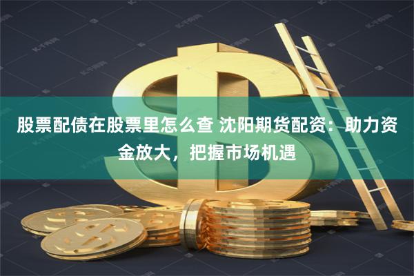 股票配债在股票里怎么查 沈阳期货配资：助力资金放大，把握市场机遇